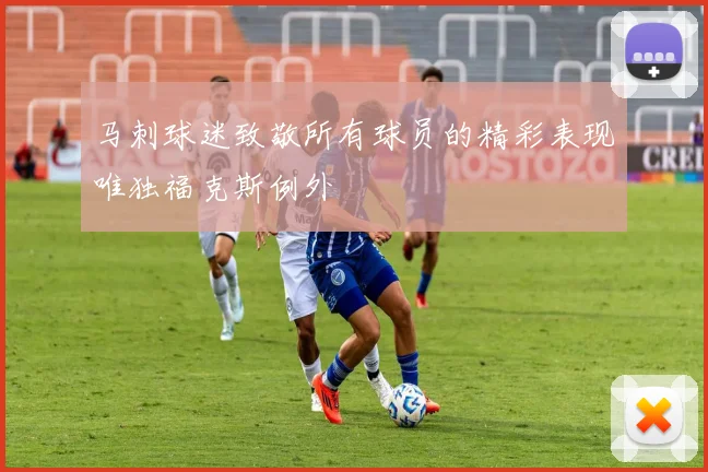 马刺球迷致敬所有球员的精彩表现唯独福克斯例外