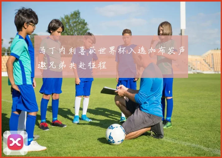 马丁内利喜获世界杯入选加布发声邀兄弟共赴征程